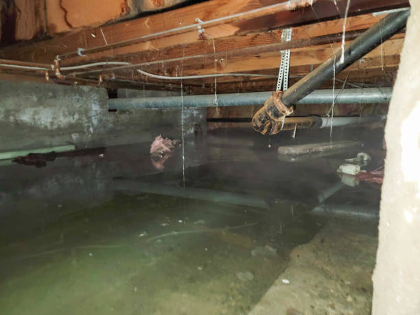 Best Emergency water damage restoration  in Greenfield, OH
