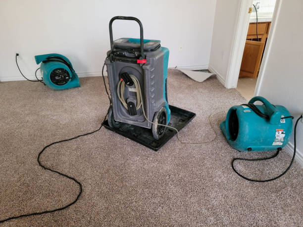 Best 24-hour water damage restoration  in Greenfield, OH