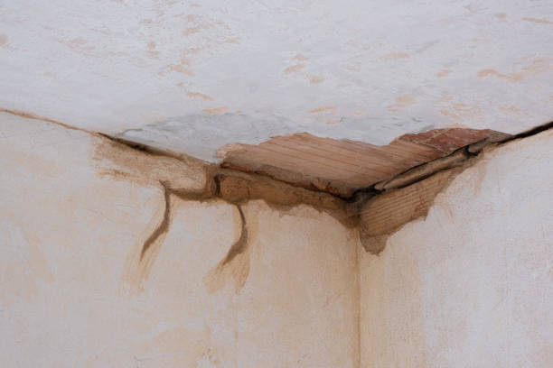 Best Water damage cleanup near me  in Greenfield, OH