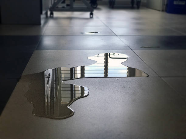 Best Water damage restoration cost  in Greenfield, OH