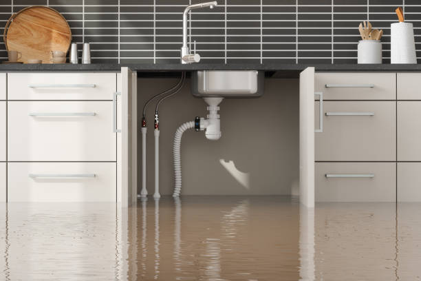 Best Water damage restoration near me  in Greenfield, OH