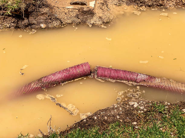 Best Water damage cleanup near me  in Greenfield, OH